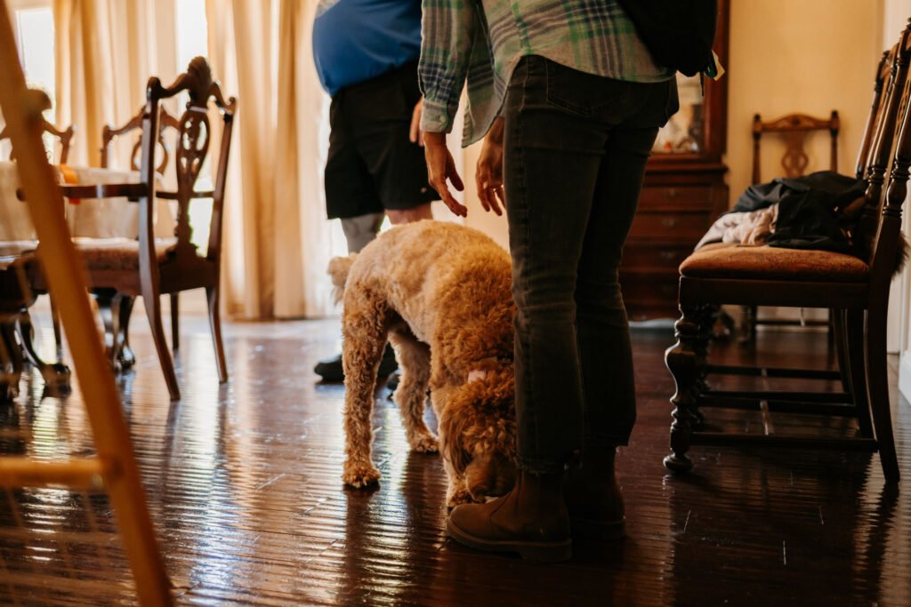 Two people standing in a dining room with a dog sniffing the ground.