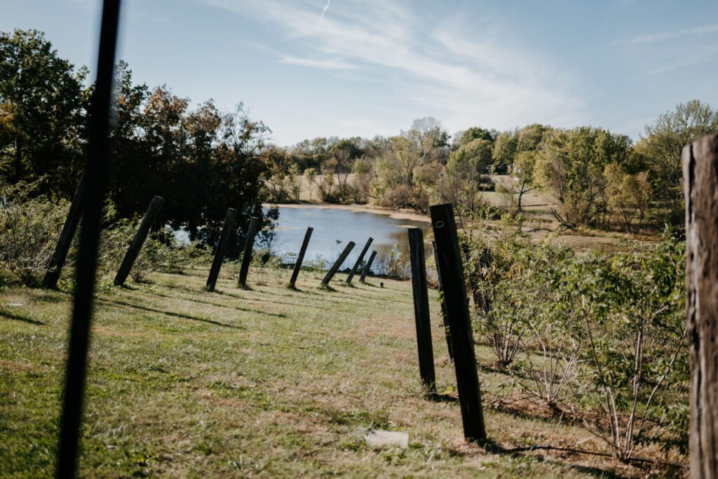 An orchard and lake.