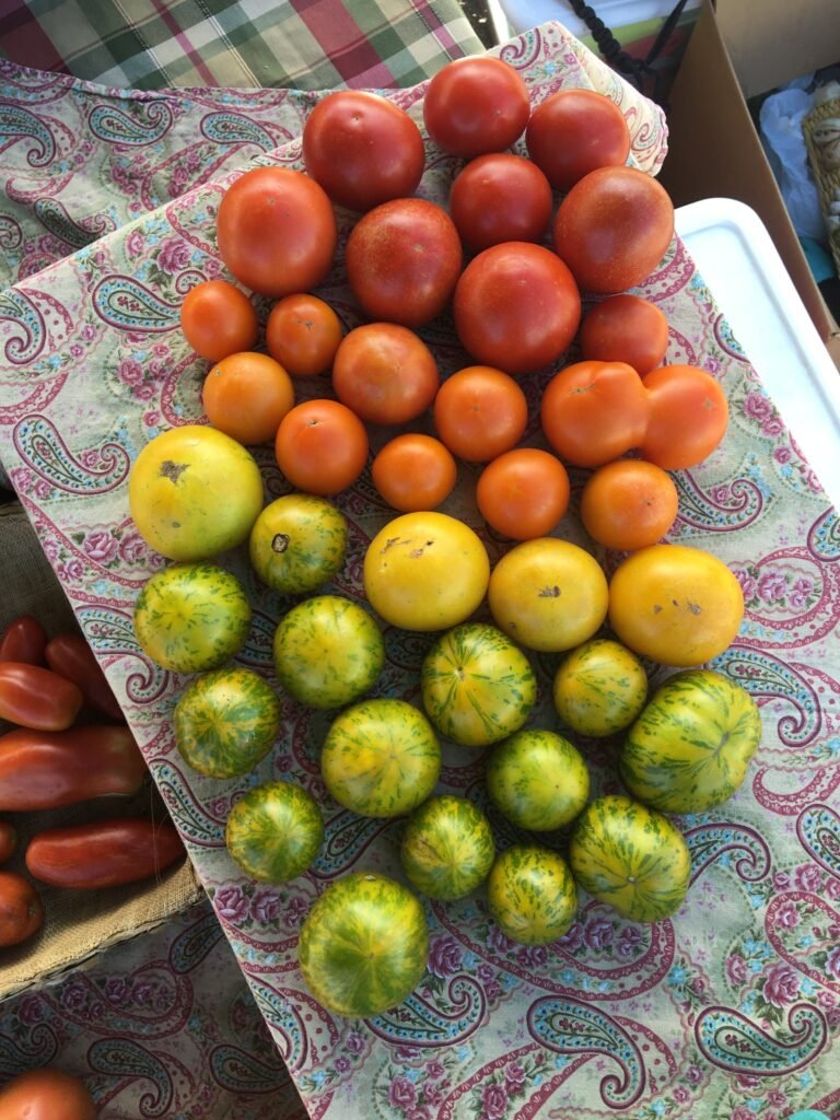 fresh vegetables